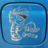 Carsticker - Ninjadreng